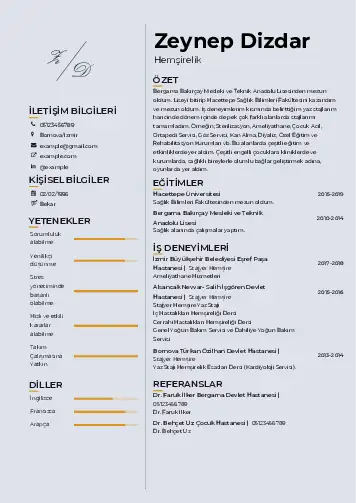 Sağlık Çalışanı Cv Örnekleri cv indir